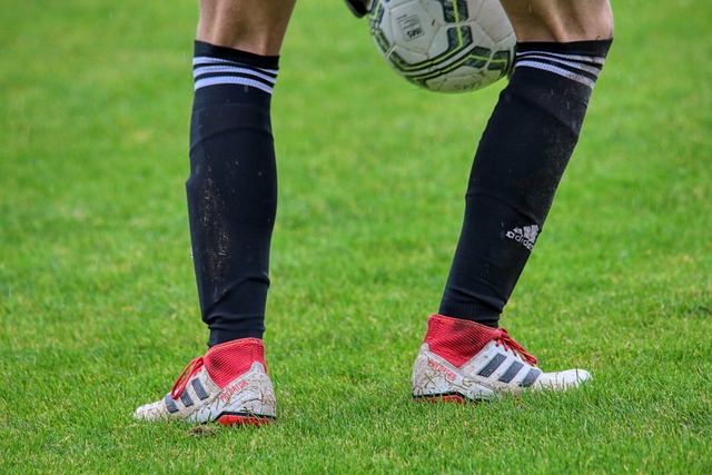 选择明星球 选择明星球