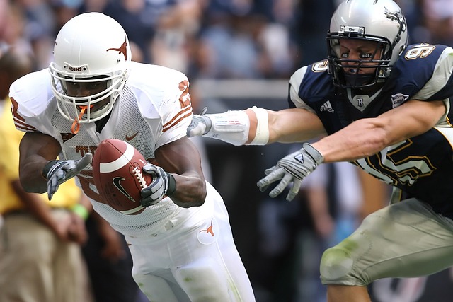 至于奥地利 至于奥地利