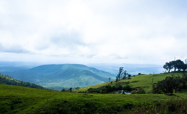 場上意志力 場上意志力
