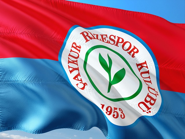 球星的合同 球星的合同