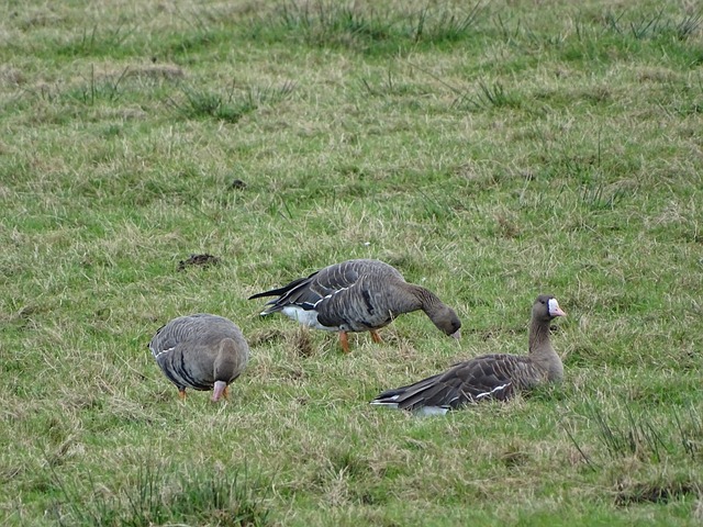 打出了一波 打出了一波