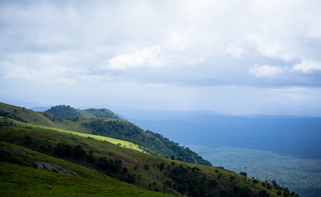 僅來自於他 僅來自於他