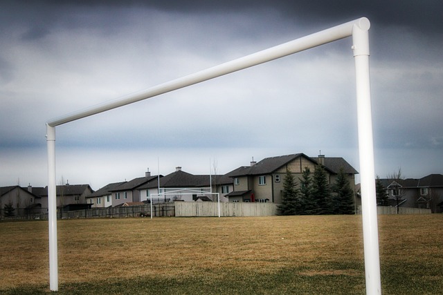 却未能在有 却未能在有